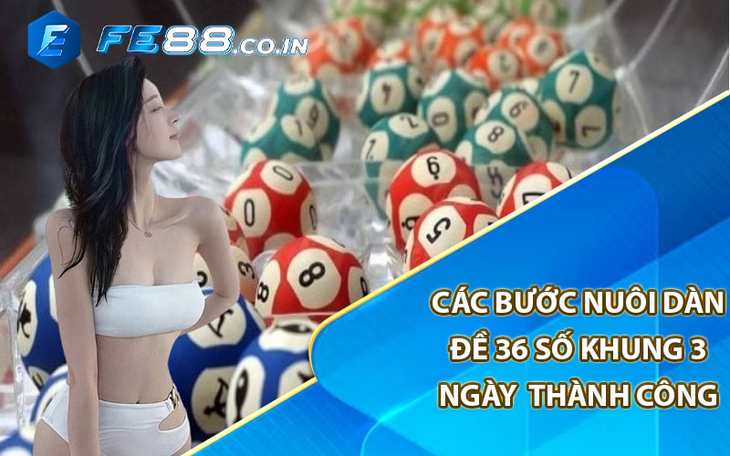 Các bước nuôi dàn đề 36 số khung 3 ngày thành công