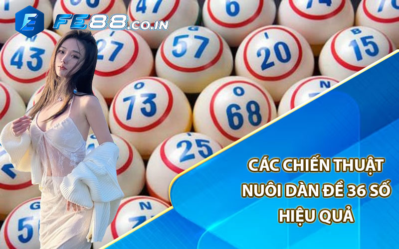 Các chiến thuật nuôi dàn đề 36 số hiệu quả