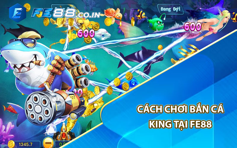 Cách chơi bắn cá king tại FE88


